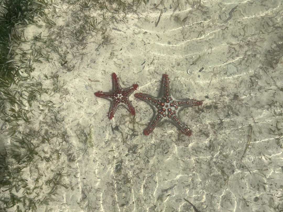 Escursioni Ronaldo-Kendwa必去景点