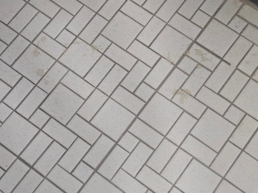 Little Sahara Inn & Cabins主图