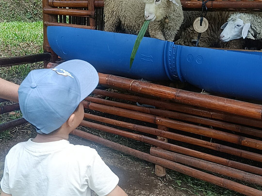 Shanaya Resort Malang主图