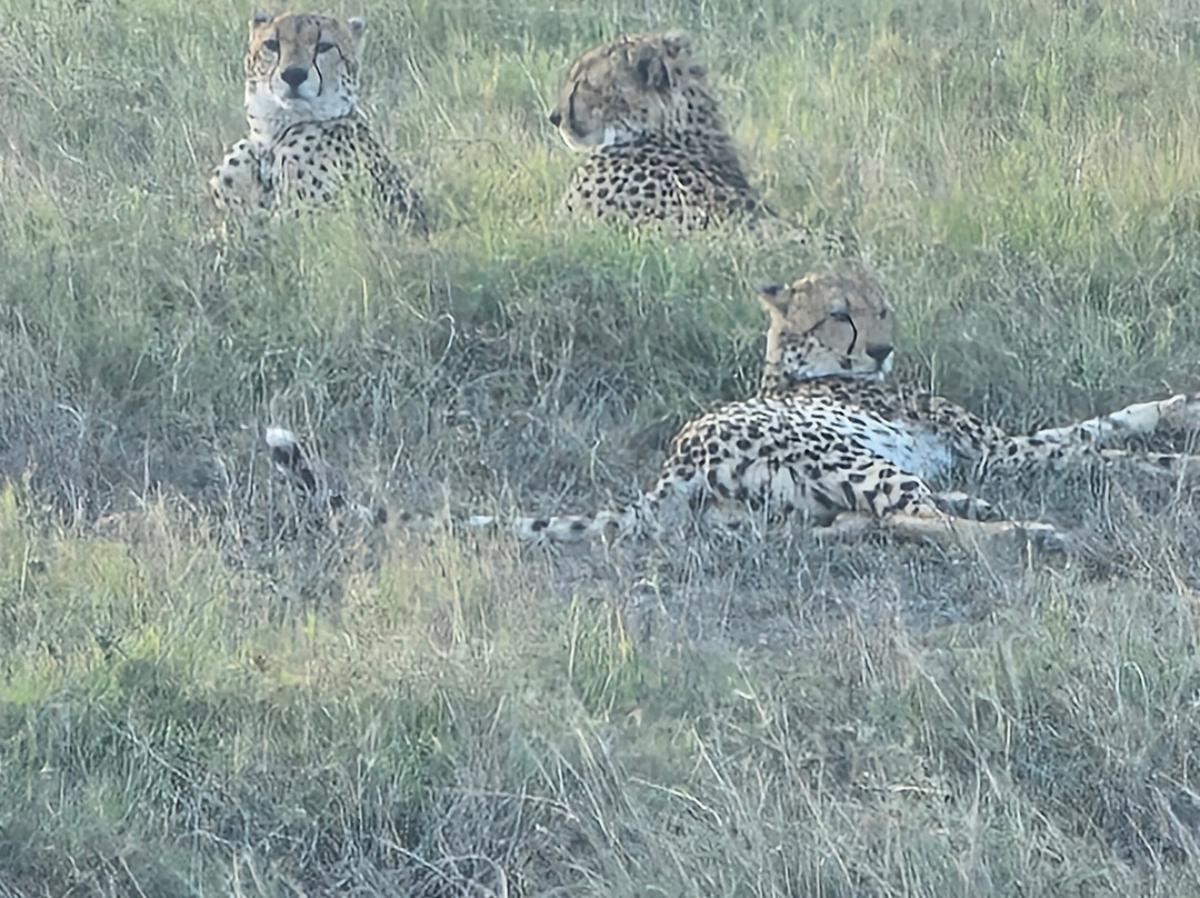 Msherembe Safaris And Travel-Voi必去景点