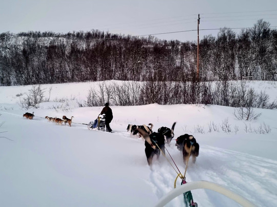 Seljeslett Gård-Russenes必去景点