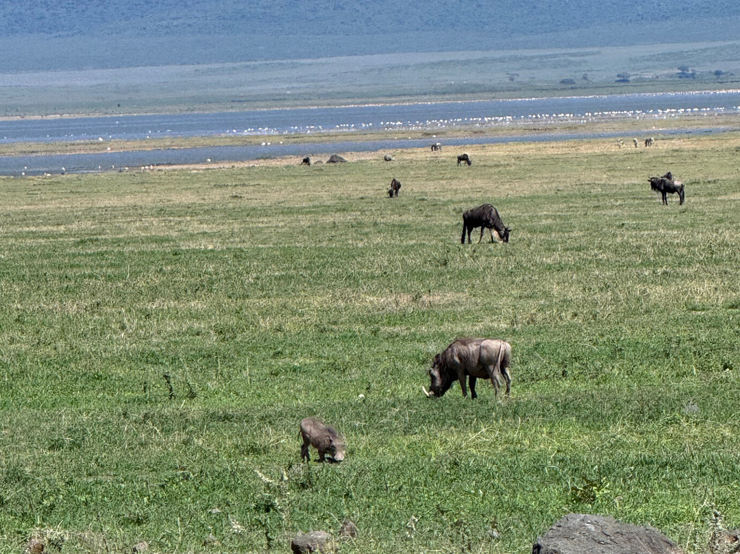 Great Escape Trails-莫西必去景点