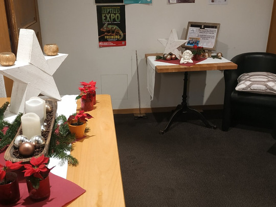 Hotel Des Alpes主图