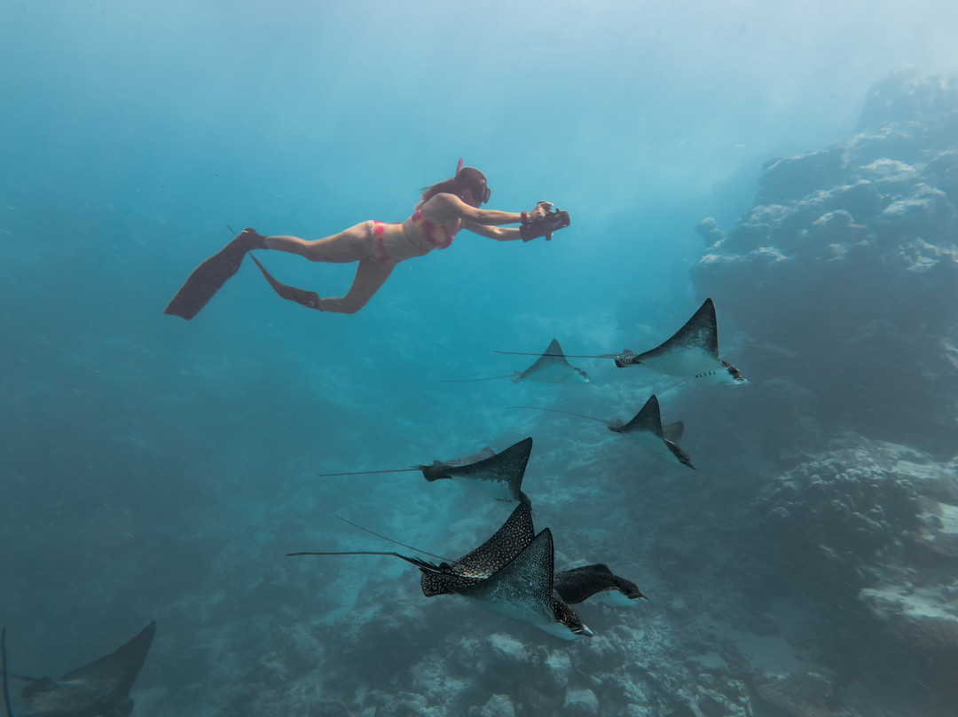 Ariki Adventures-拉罗汤加必去景点