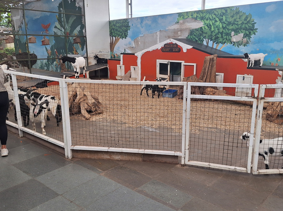 Paris Van Java-万隆必去景点