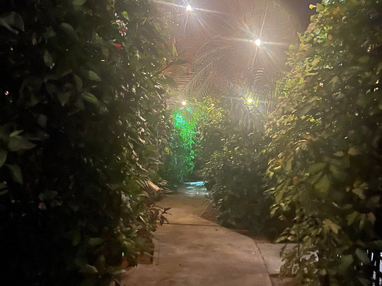 Conch Beach Cabins主图