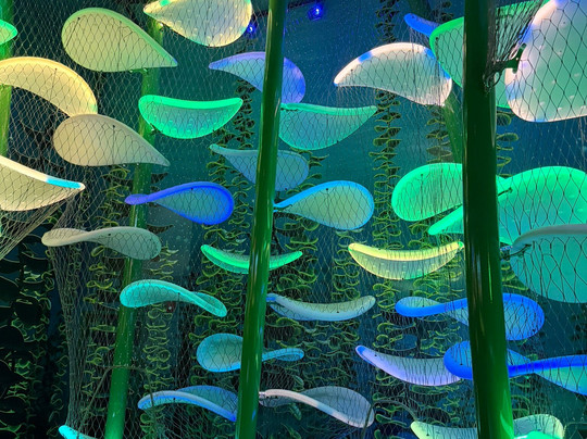 Aquarium At The Boardwalk-布兰森必去景点