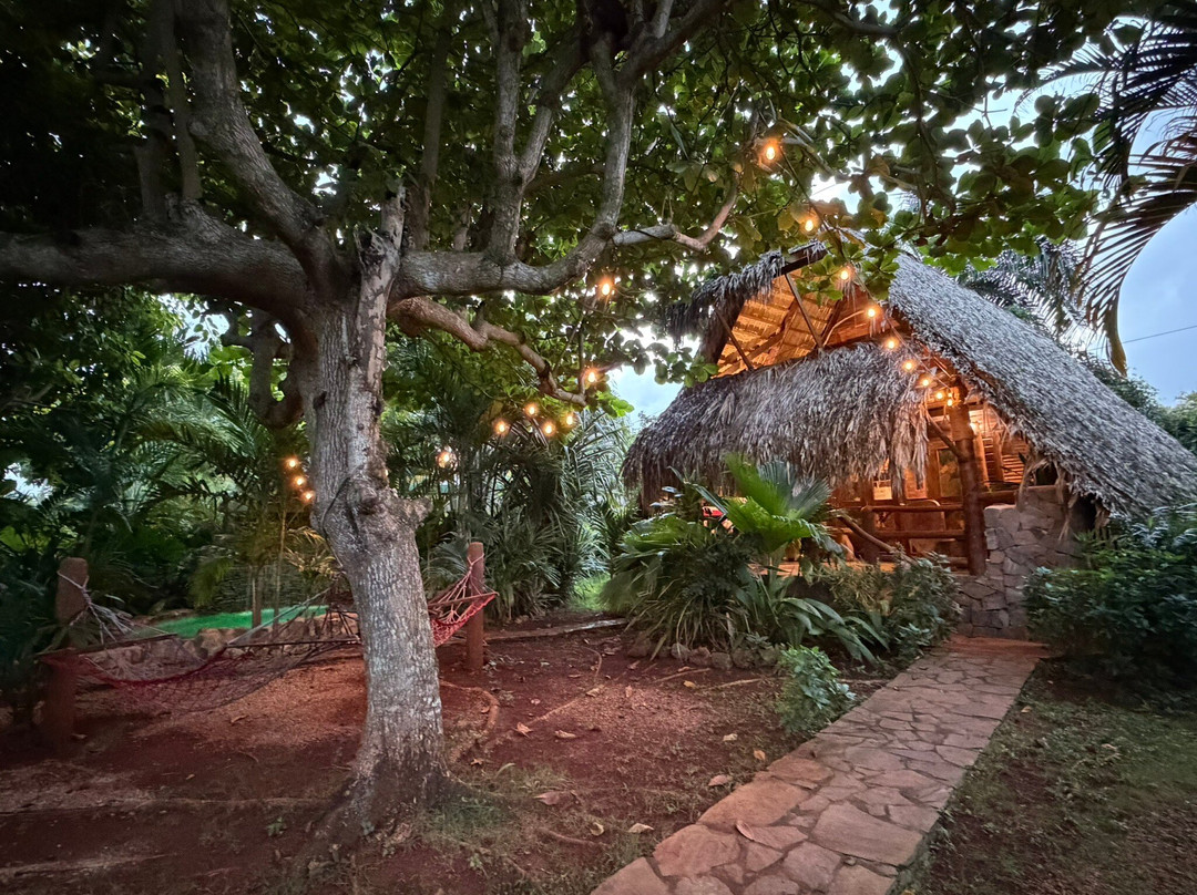 Chalet Tropical Hotel &  Bar Restaurant主图