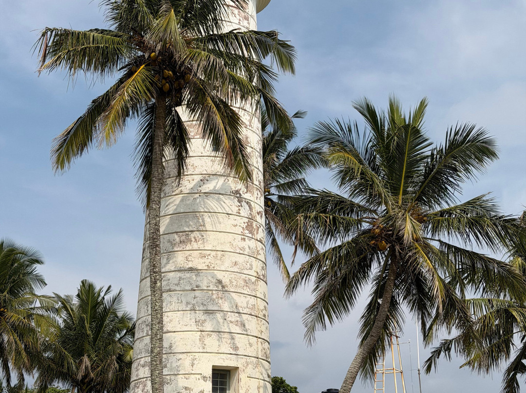 Jonty Tours-巴拉碧提雅必去景点