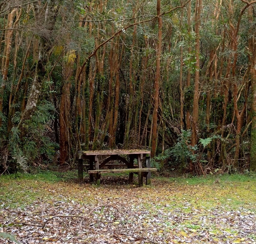 Parque Nacional Chiloé-奇洛埃岛必去景点