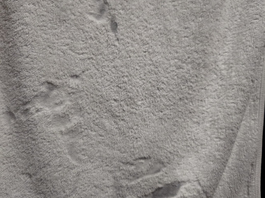 About Sololaki主图