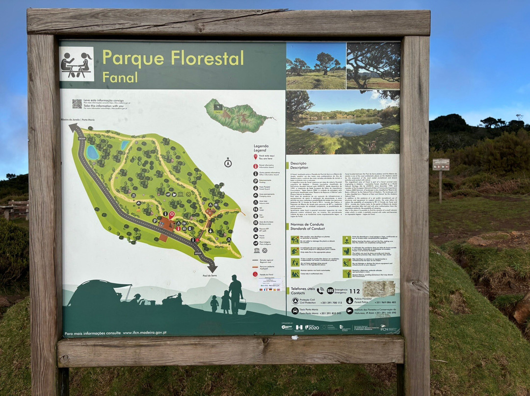 Posto Florestal Fanal-莫尼什港必去景点