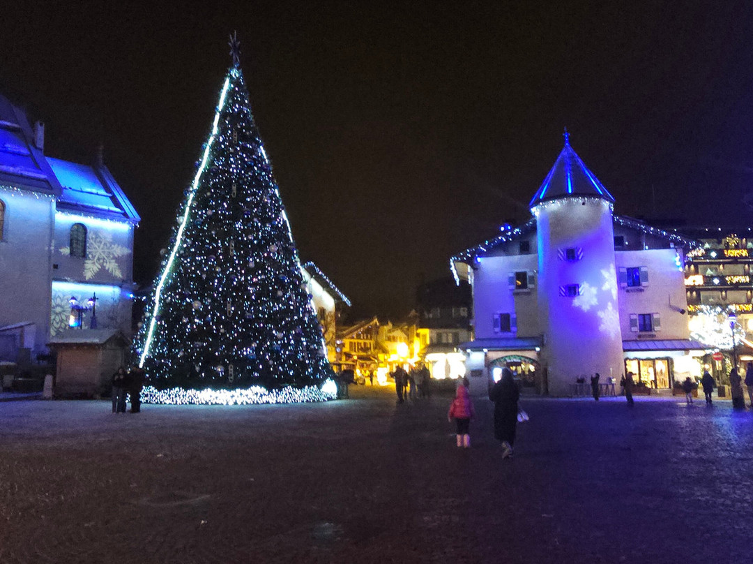 Mont d'Arbois Ski Area-梅杰夫必去景点
