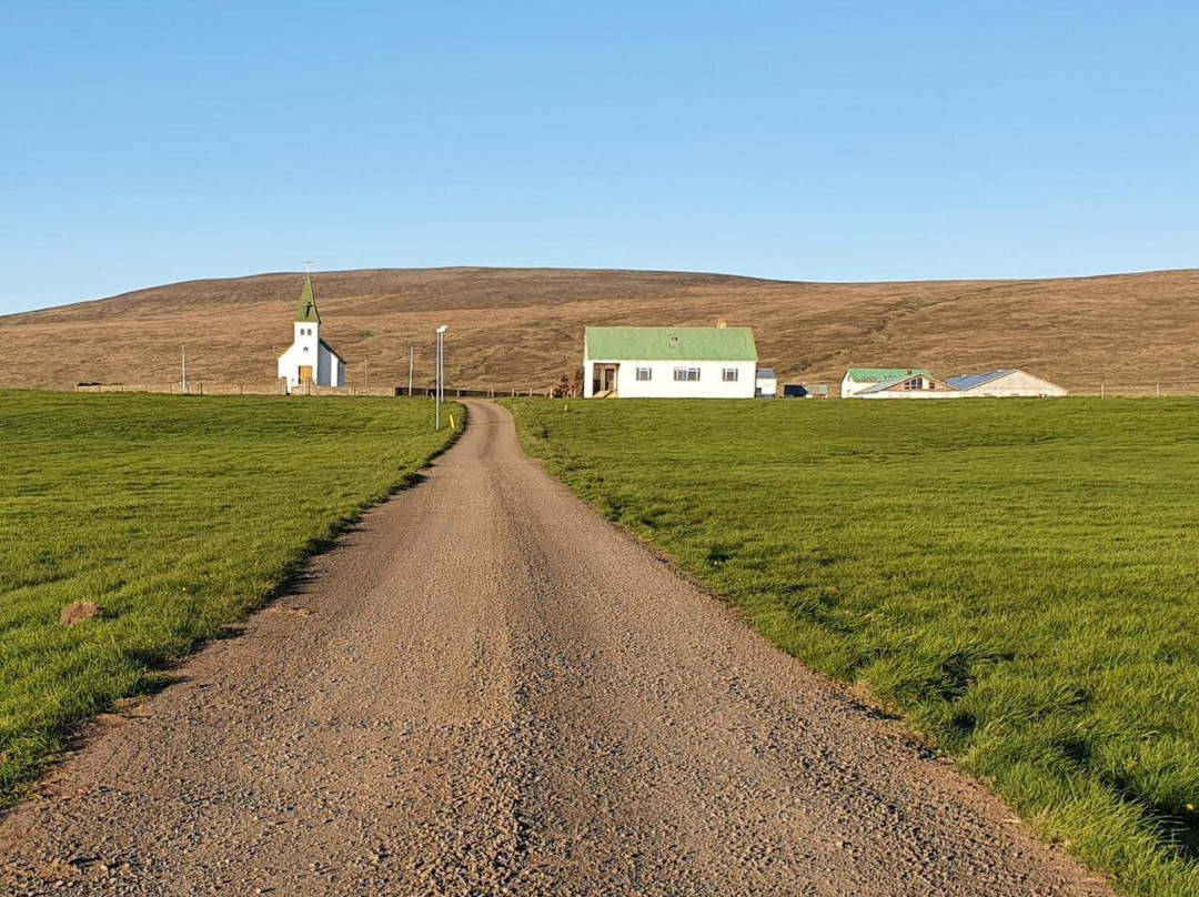 Tjorn