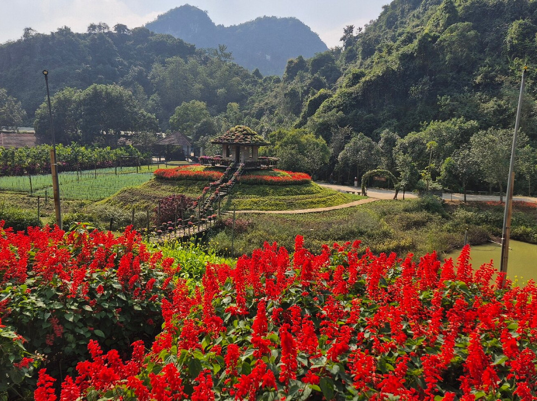 Thung Nham Bird Park-Ninh Hai必去景点