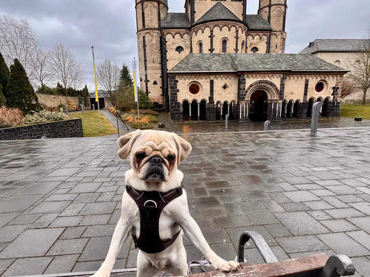 Benediktinerabtei Maria Laach-Maria Laach必去景点