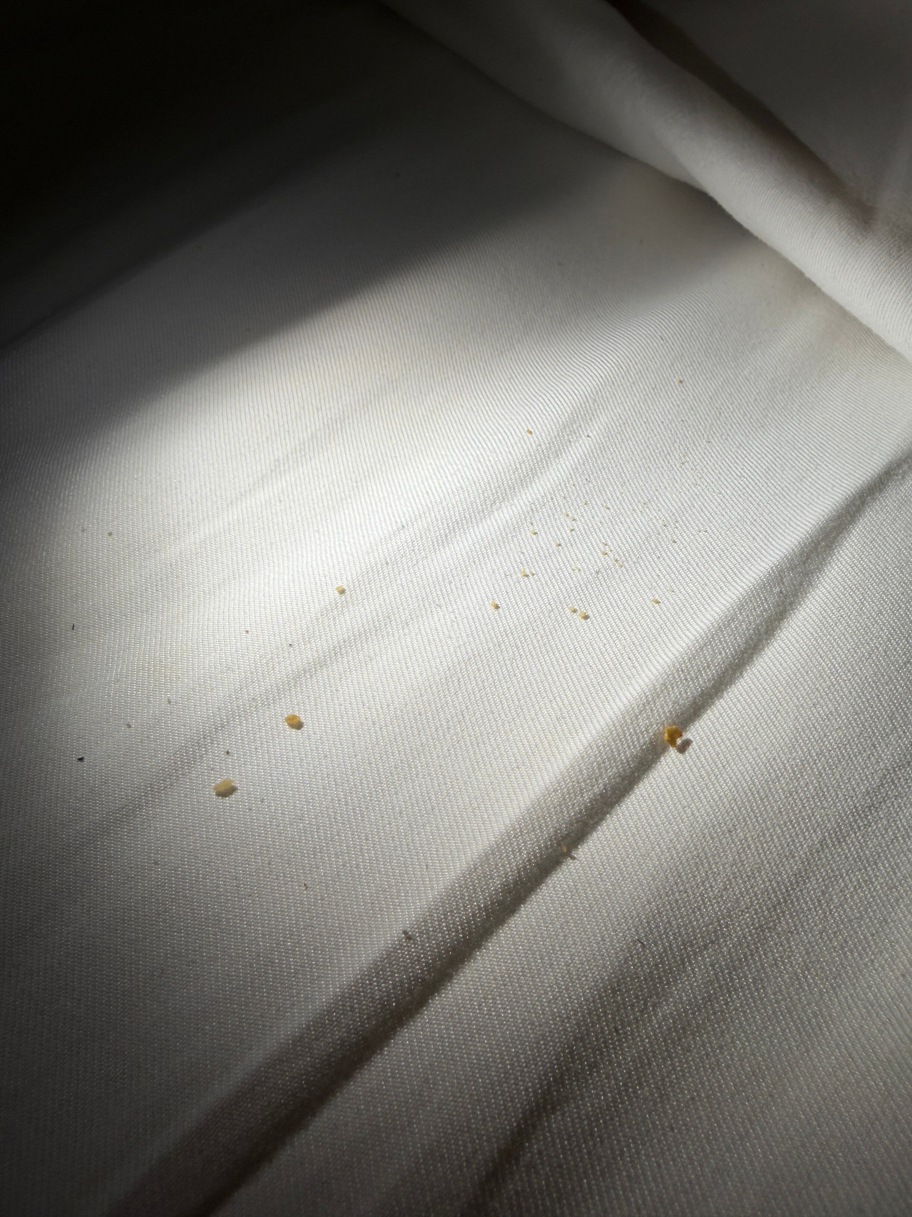 Best Western Plus Steeplegate Inn-客卧