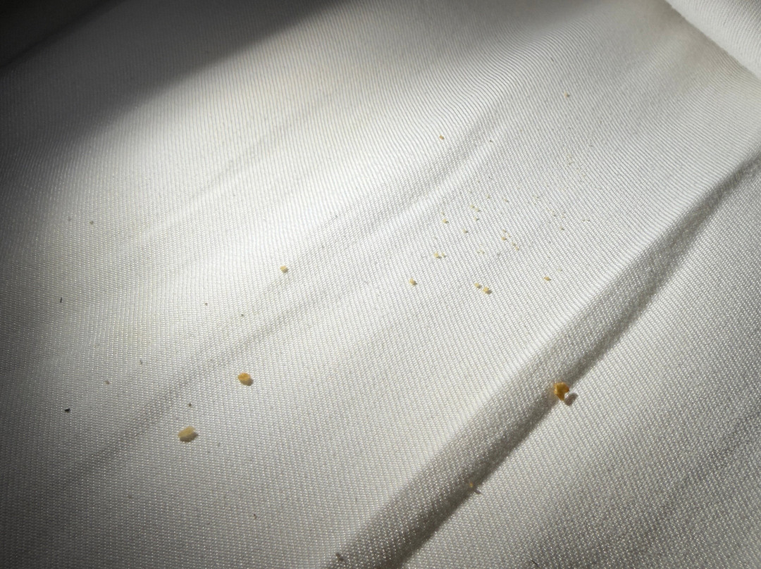 Best Western Plus Steeplegate Inn主图