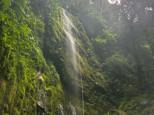 WAKING DREAMS COSTA RICA-圣何塞必去景点