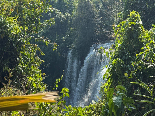 Tour With Kin-暹粒必去景点
