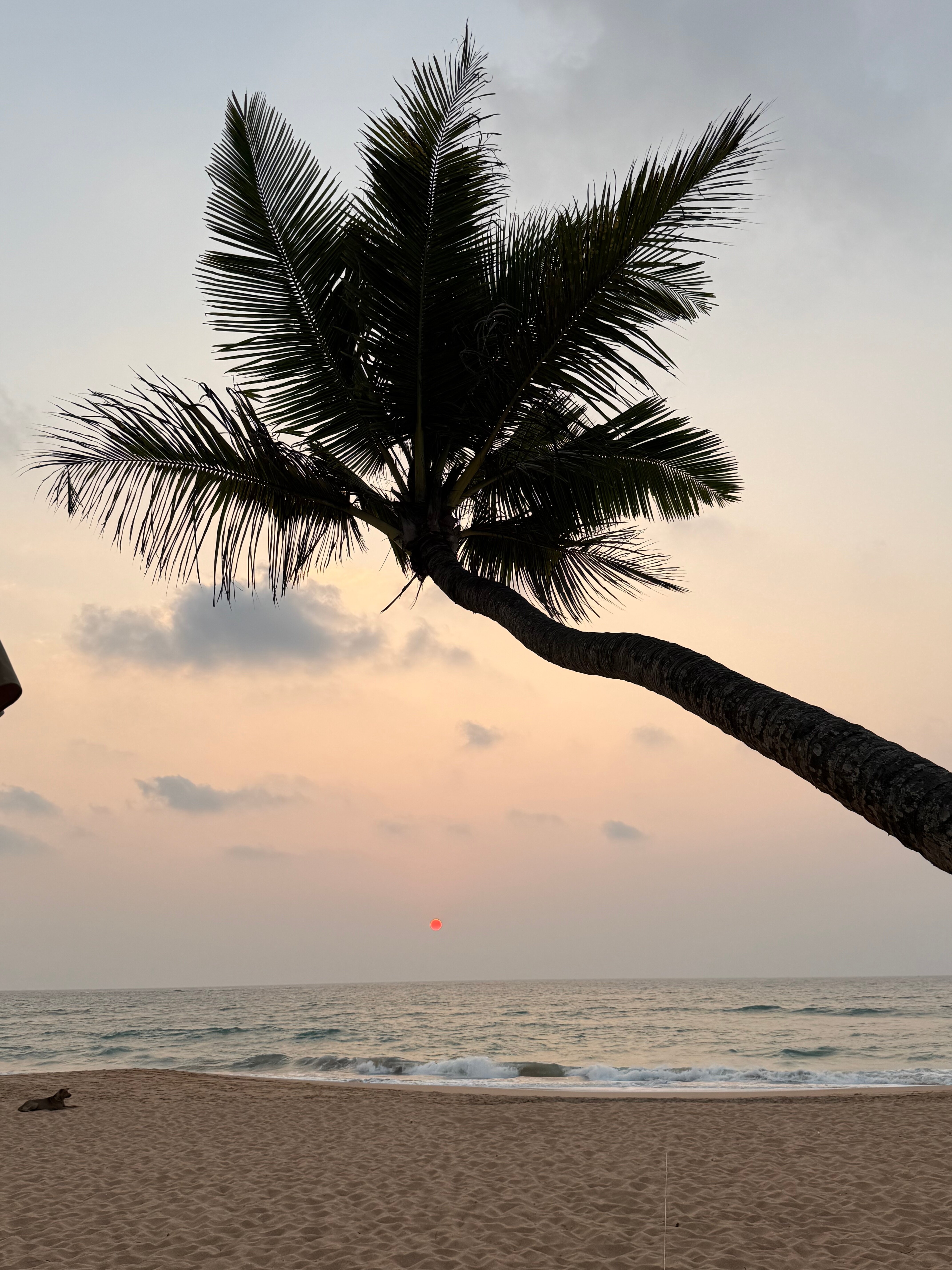 绿宝石湾景酒店-官方