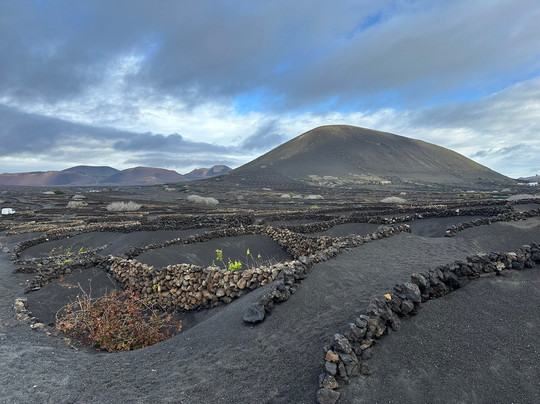 Wine Tours Lanzarote-卡门港必去景点