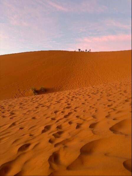 Adventures Desert-迈哈米德必去景点