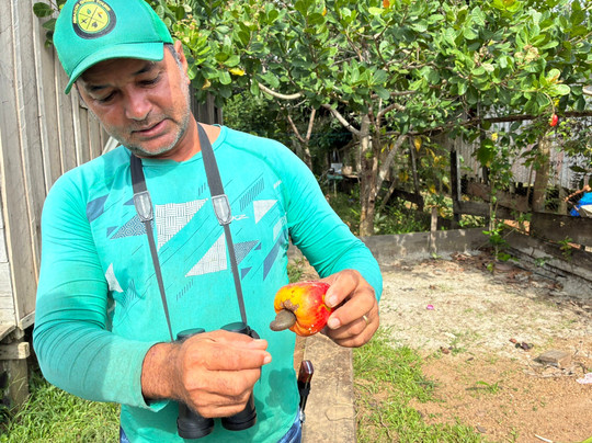 Amazon Green Tours-玛瑙斯必去景点