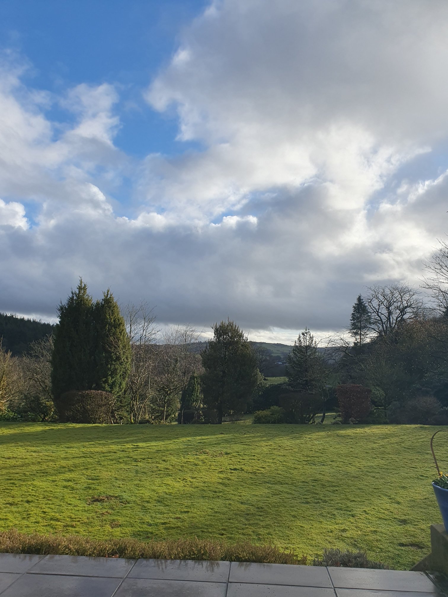 The Falcondale Hotel-官方