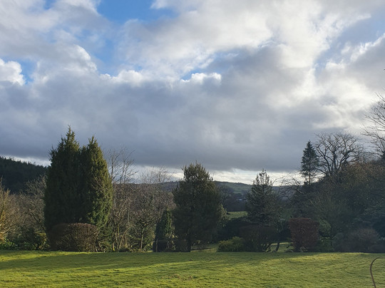 The Falcondale Hotel主图