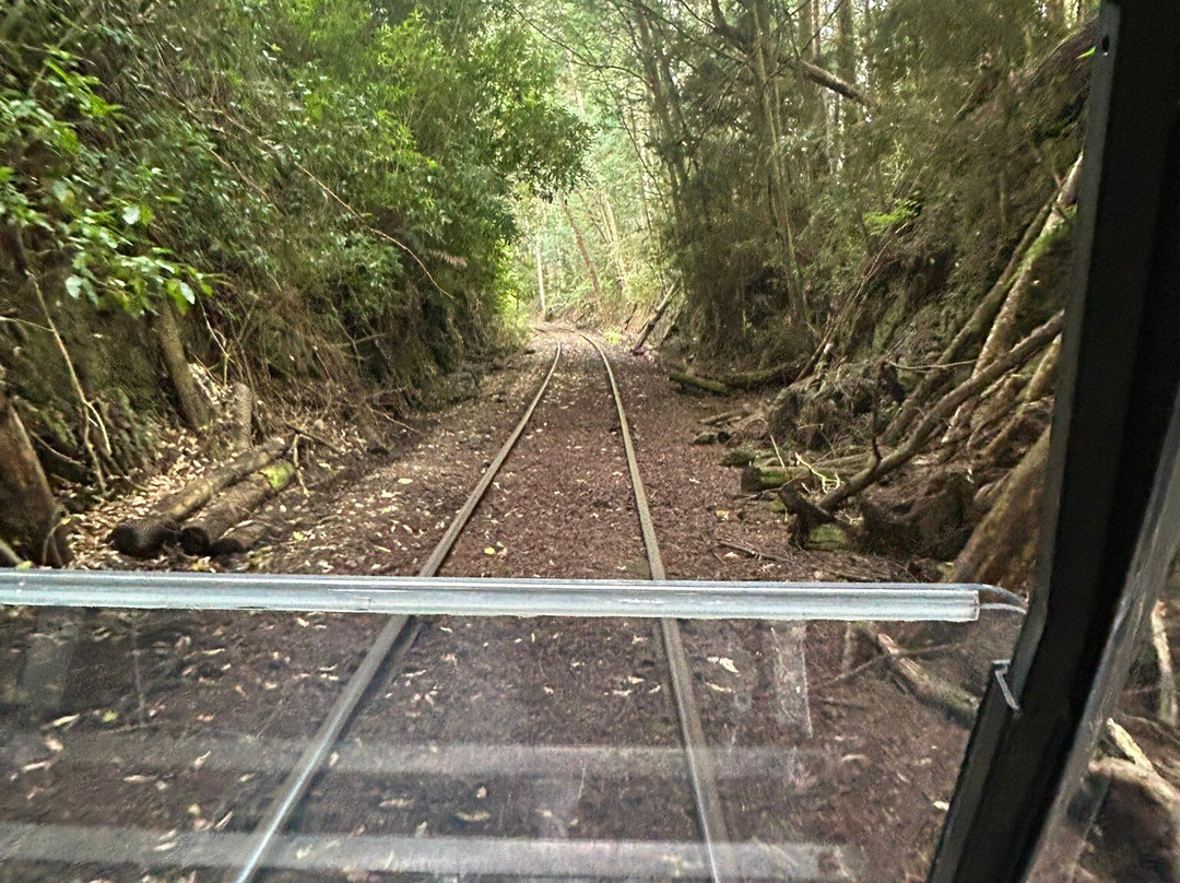 Forgotten World Adventures-Taumarunui必去景点