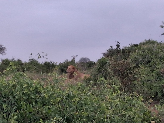 Biggym-瓦塔木必去景点