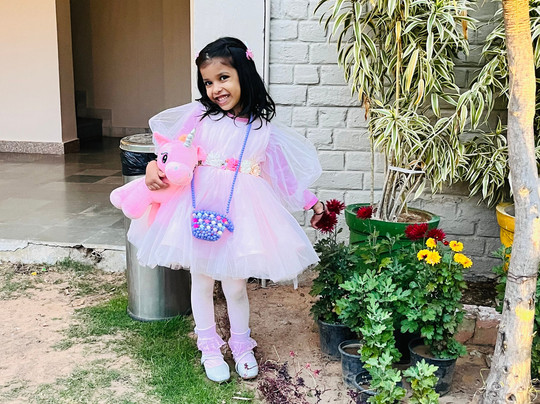 Bamboo Saa Sunrrise Weddings & Wellness Resort Jaipur主图