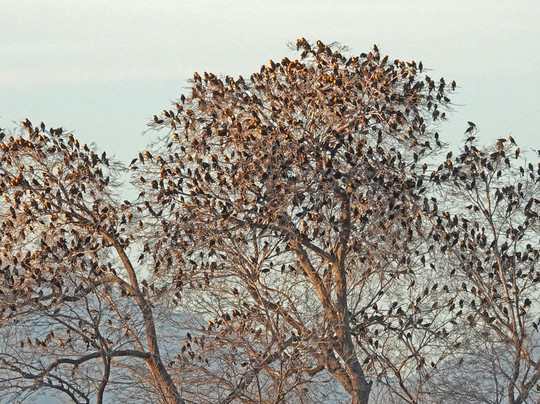 Twin Lakes Golf Course-Willcox必去景点