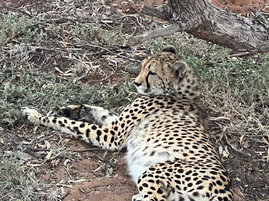 Monarto Safari Park-Monarto必去景点