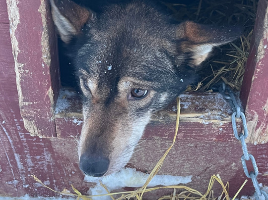 Activenorth-Skibotn必去景点