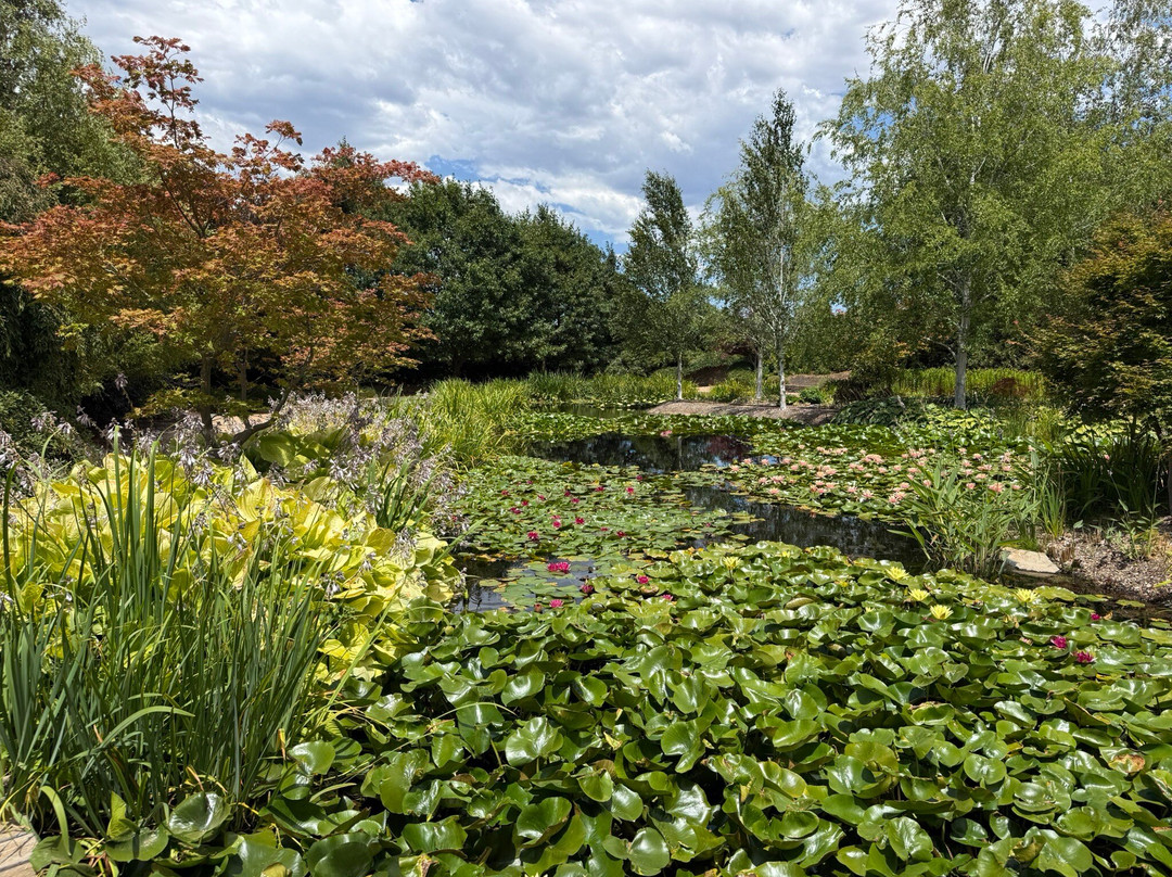 Mayfield Garden-Oberon必去景点