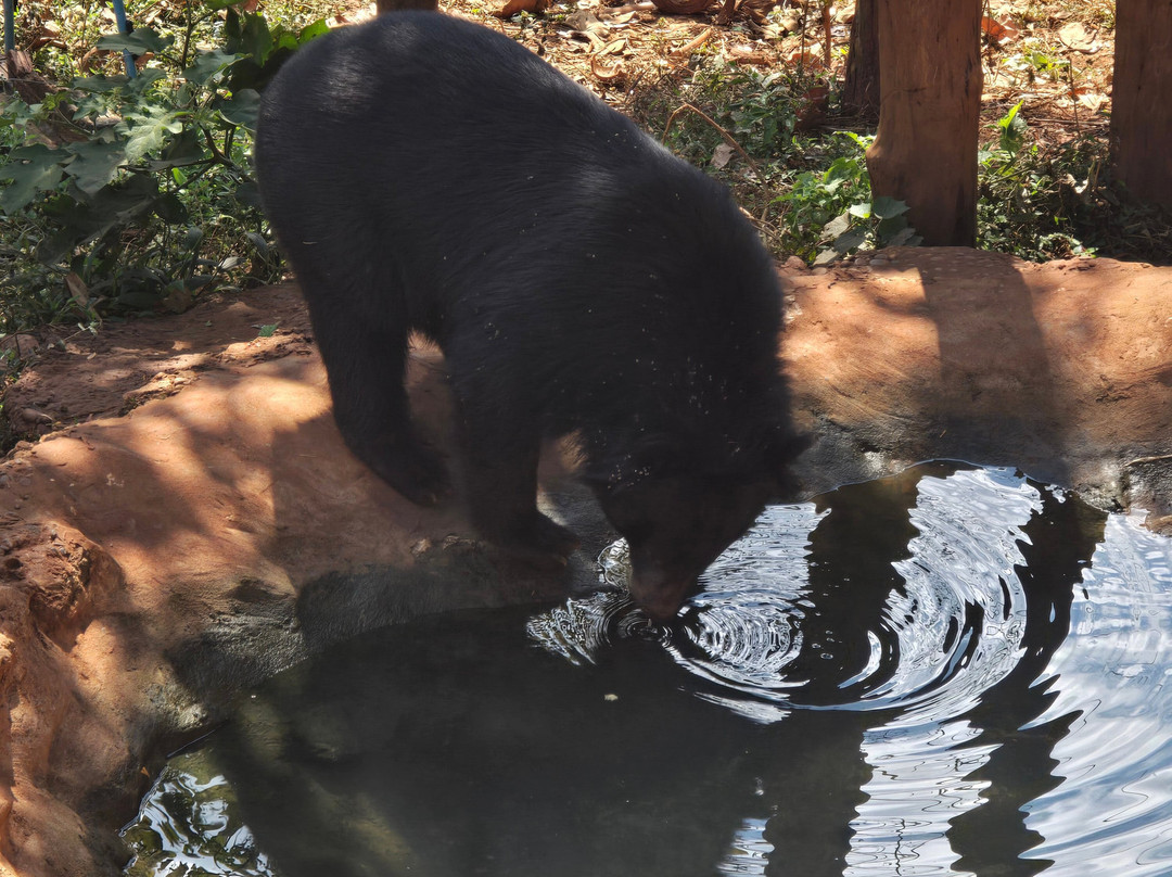 Luang Prabang Wildlife Sanctuary-琅勃拉邦必去景点