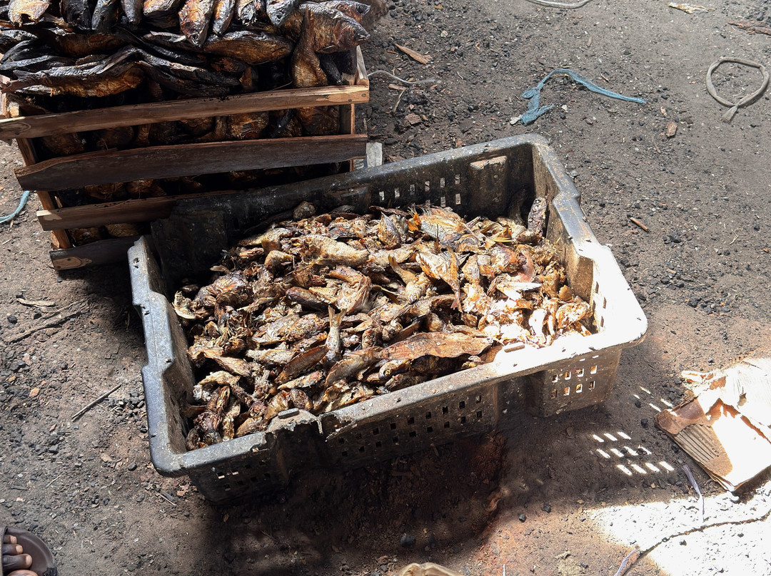 Tanji Fishing Village-Tanji必去景点