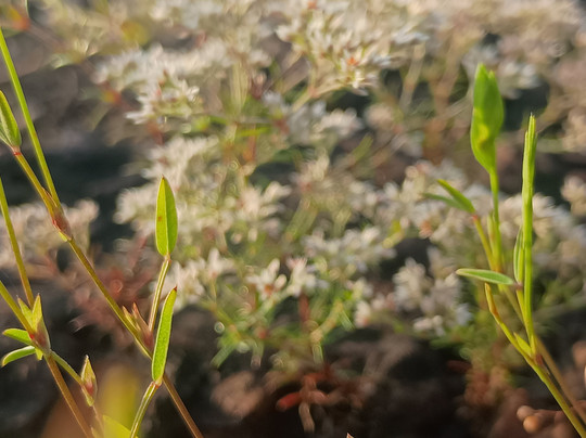 Madayipara-坎纳诺尔必去景点