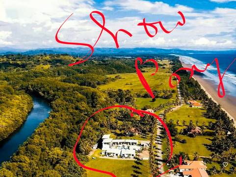 Show Pony Beach Resort主图