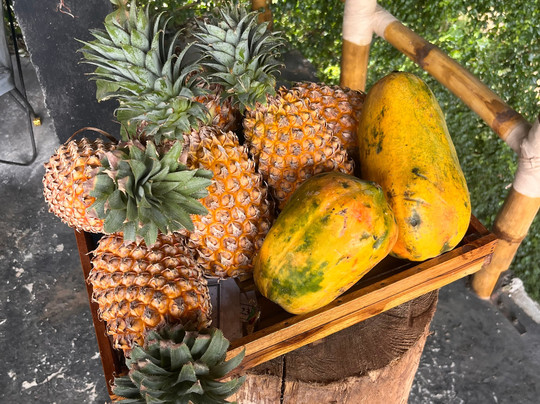 Lanka Safe Tours-科伦坡必去景点