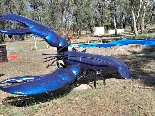 Narrabri Fish Farm-纳拉布莱必去景点