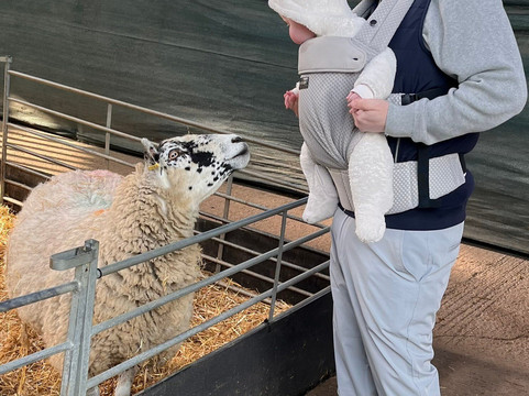 Thrift Farm-Whaddon必去景点