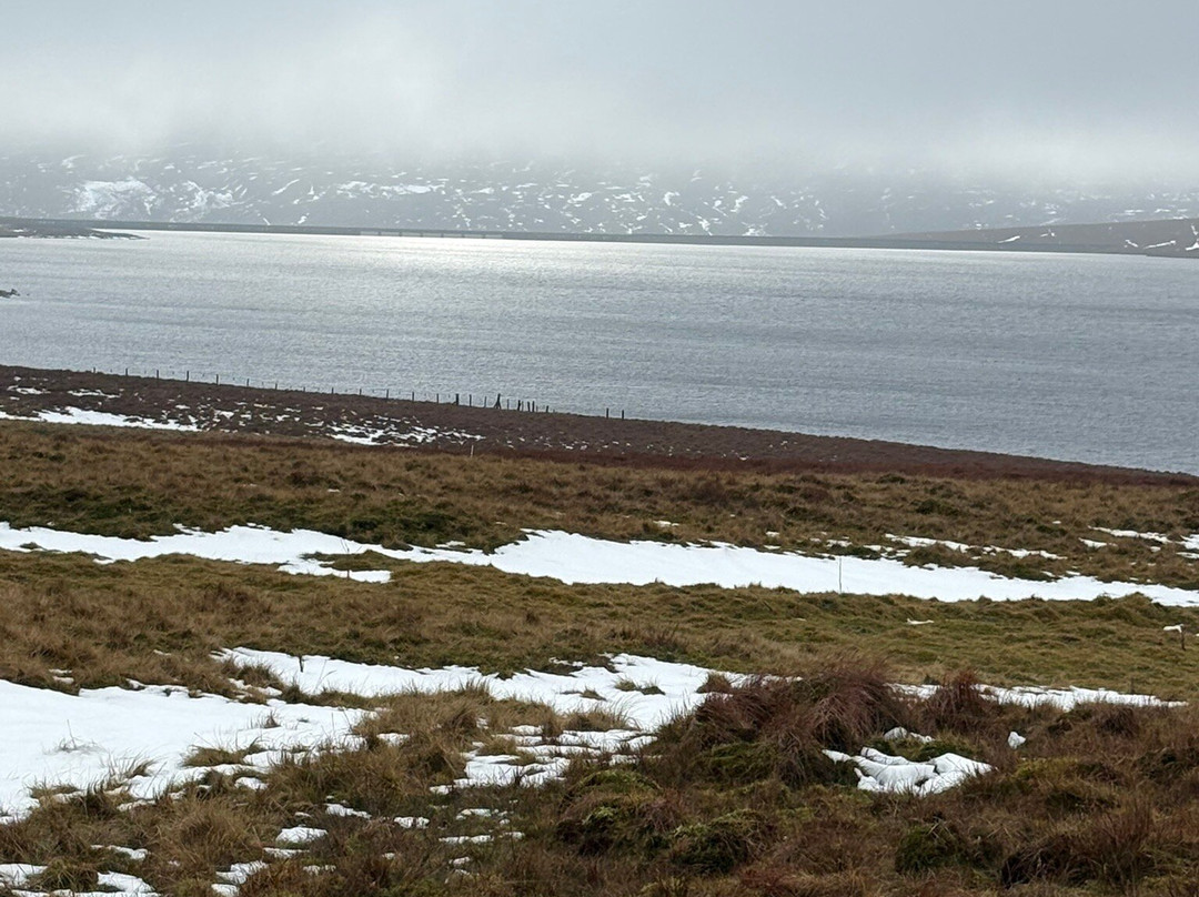 Cauldron Snout-Forest-in-Teesdale必去景点