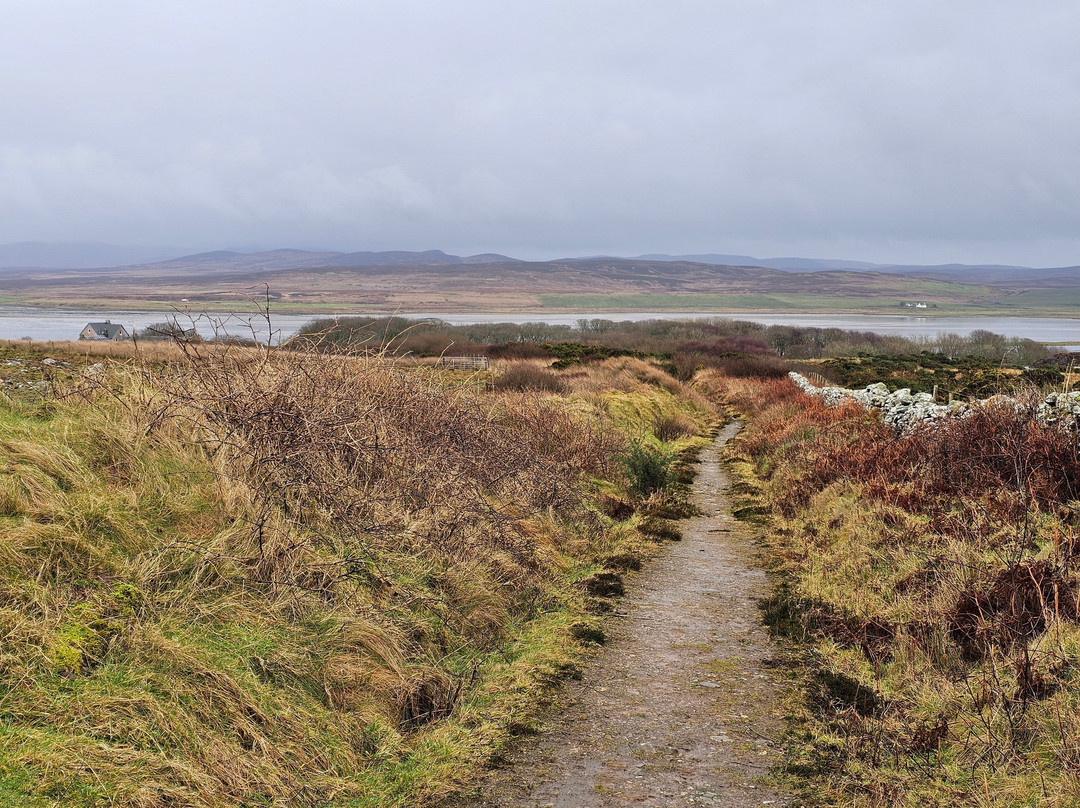 RSPB Loch Gruinart Reserve-Bridgend必去景点