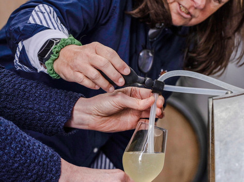 Hambledon Wine Estate-Hambledon必去景点