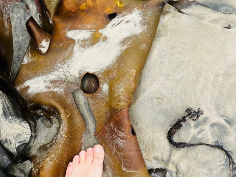 Stewart Island Electric Bikes-斯图尔特岛必去景点