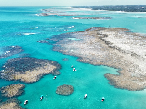 Passeios para as piscinas naturais do Patacho!-Porto de Pedras必去景点