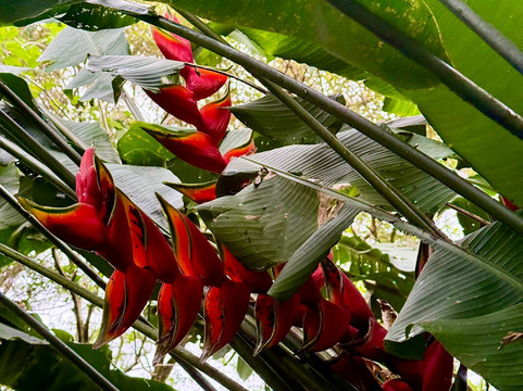 Alex On The Beach Tours-萨迪纳尔必去景点